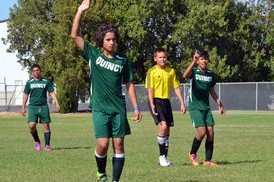 爱游戏官方入口-中小学体育教师教学方法多样化实践，中小学体育教师教学的主要问题