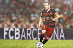 AYX爱游戏中国-森林狼主场逆转击败灰熊，森林狼主场逆转击败灰熊的是谁