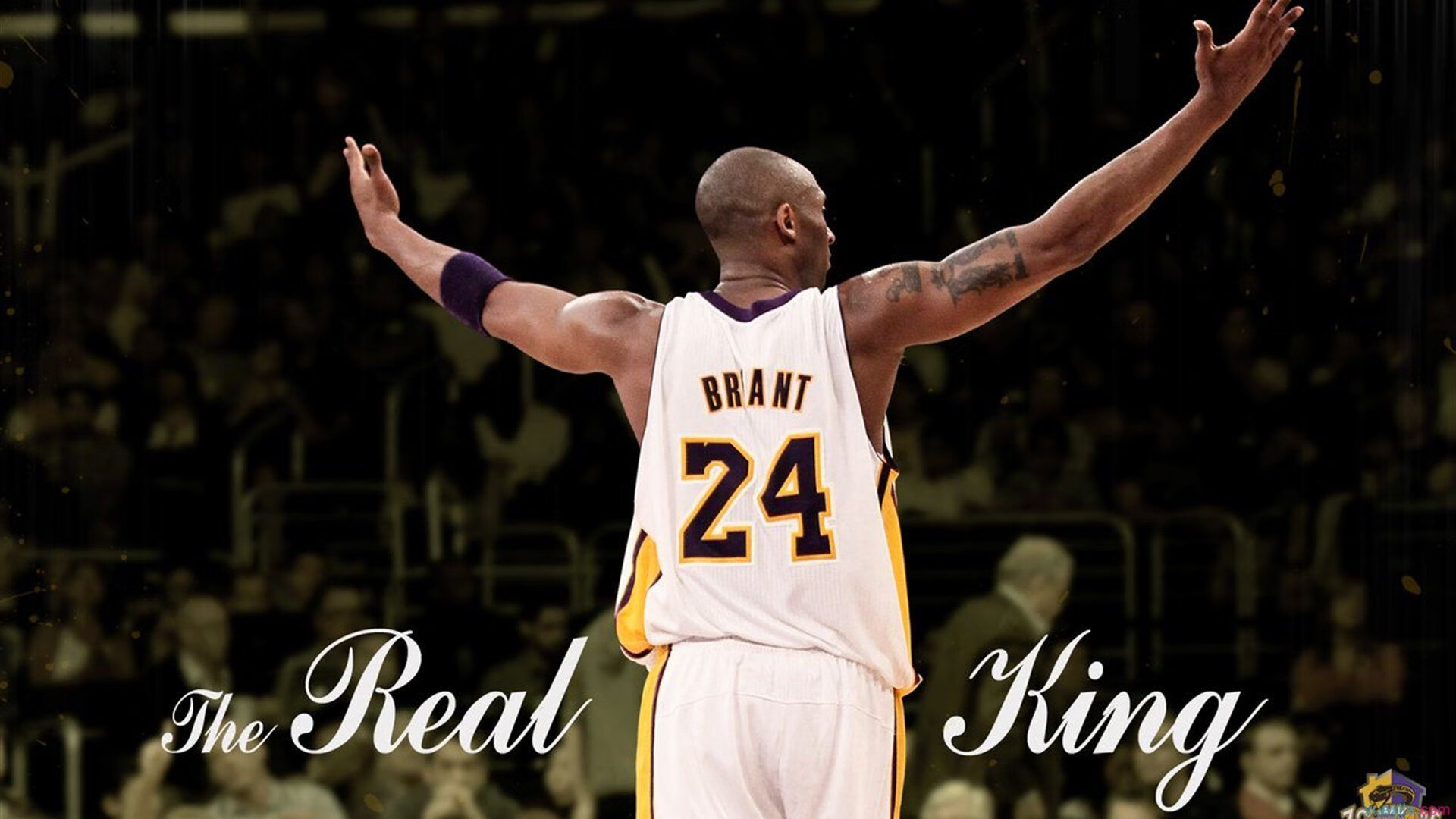 激情的表现:一名年轻球员在比赛中表现抢眼,激情指什么意思