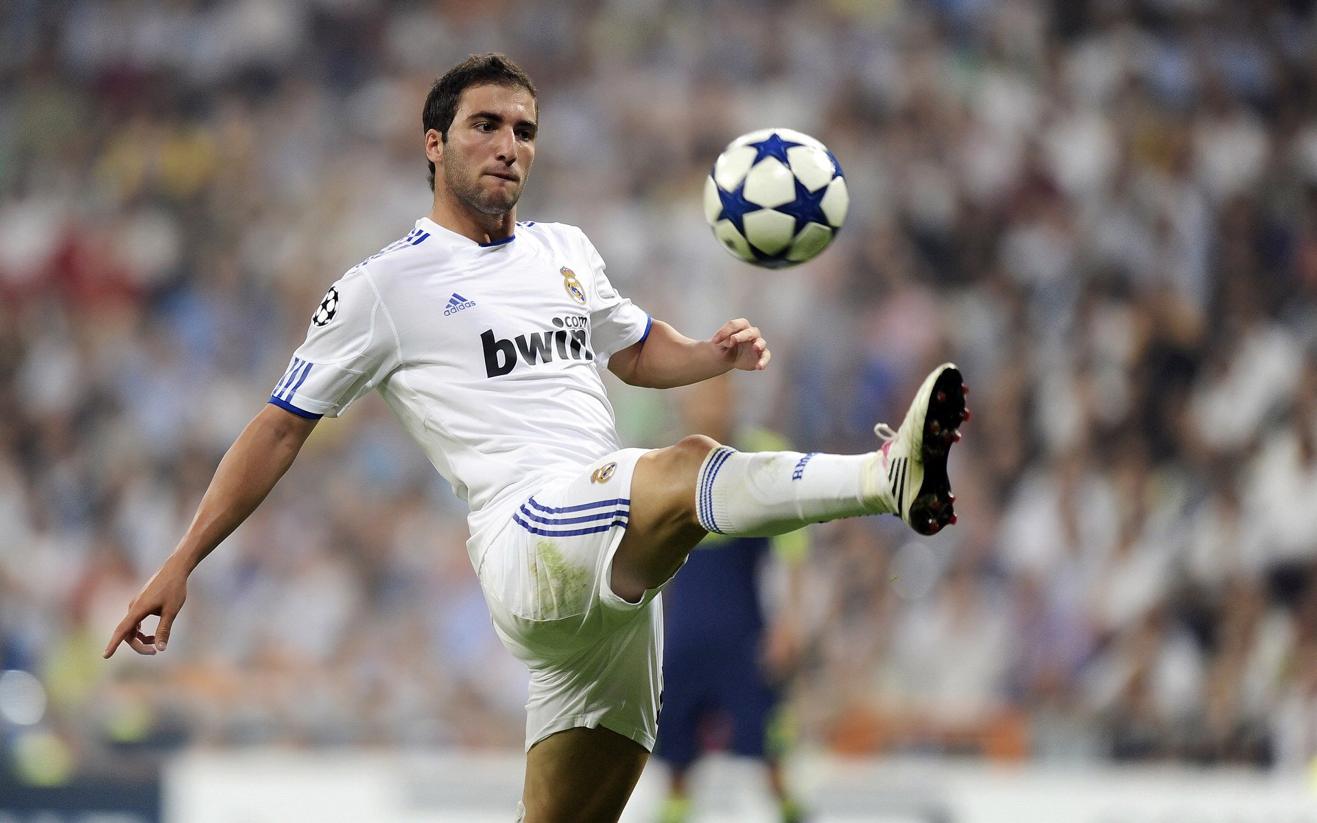 维达德卡萨布兰卡备战国际赛事，目标争夺冠军，卡萨布兰卡 简介