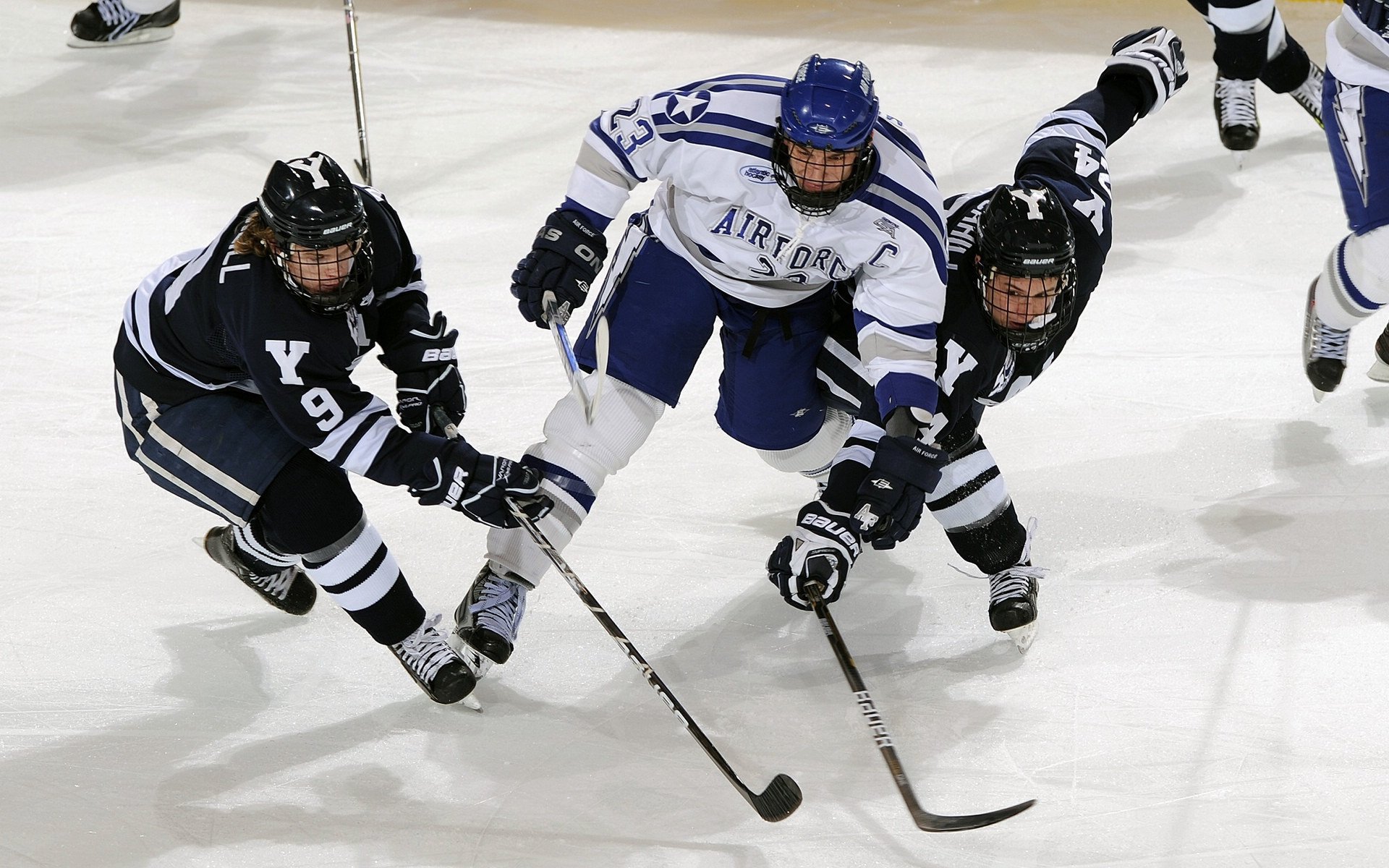 阿尔及利亚球队晋级非洲杯，锋线火力强劲，阿尔及利亚 非洲杯
